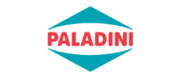 Logo Paladini